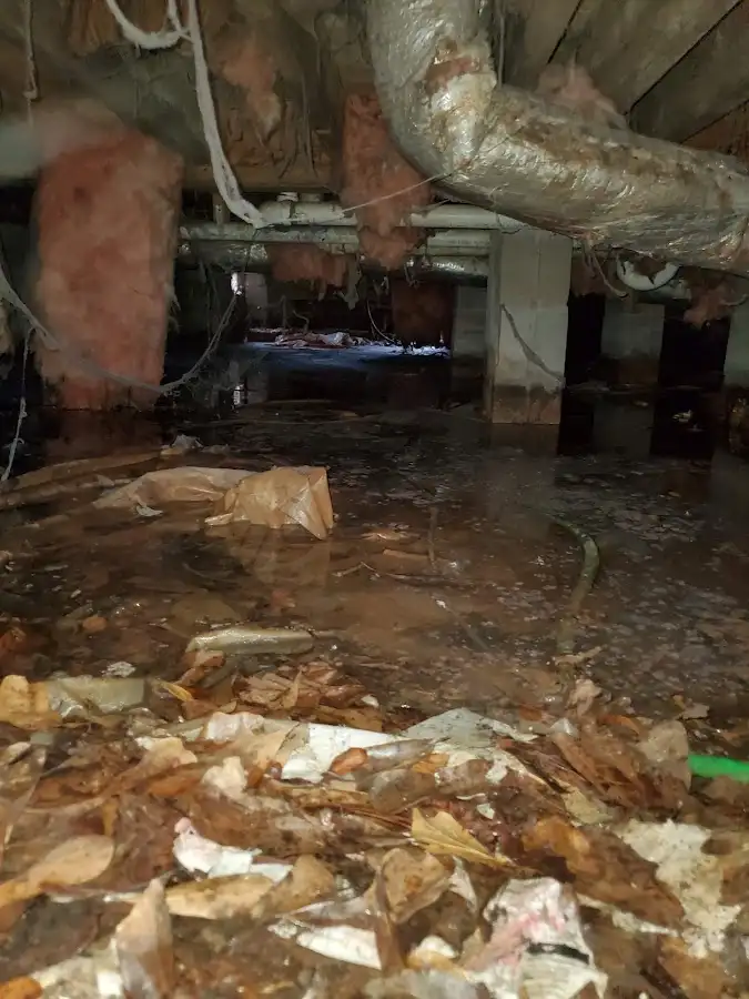 Crawl space flood assessment for Leak Detection & Repair in Batavia