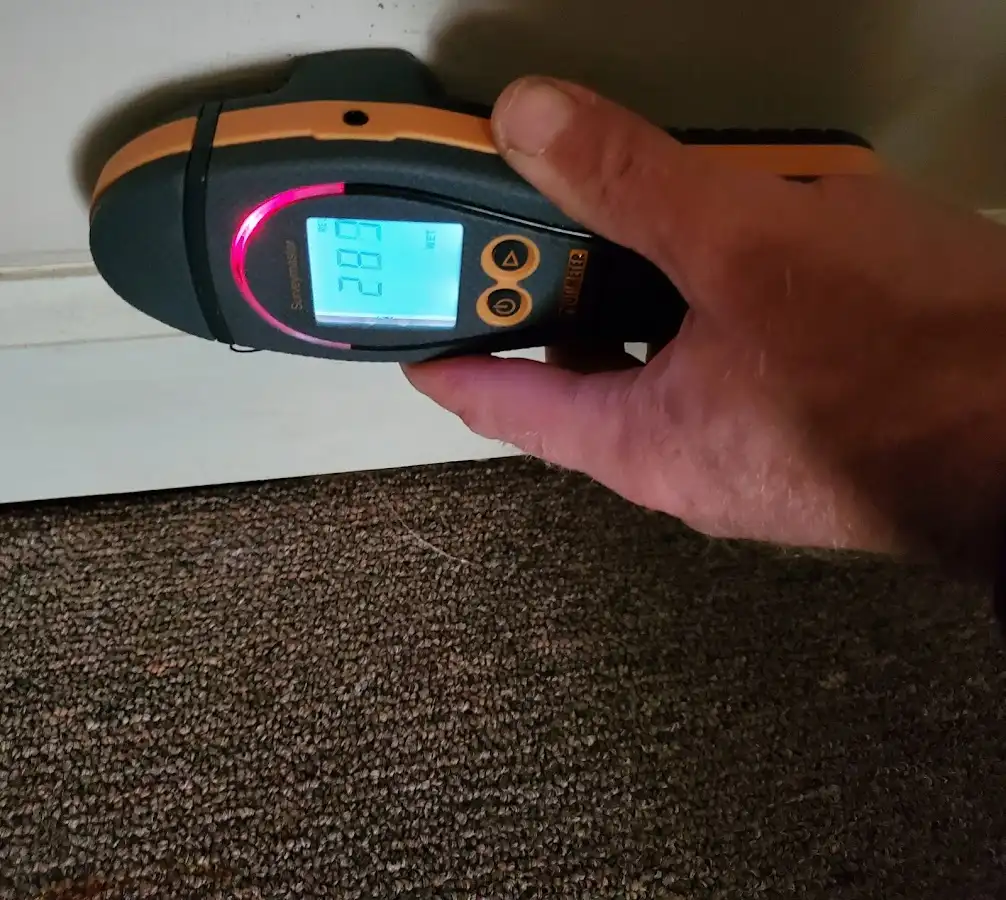 Moisture detection at baseboard during Mold Inspection & Testing in Batavia